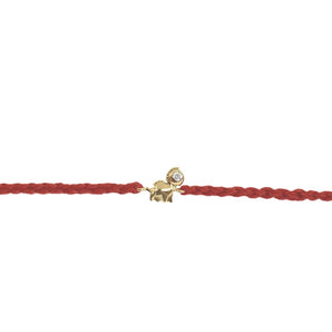 Roar-sauras Rakhi