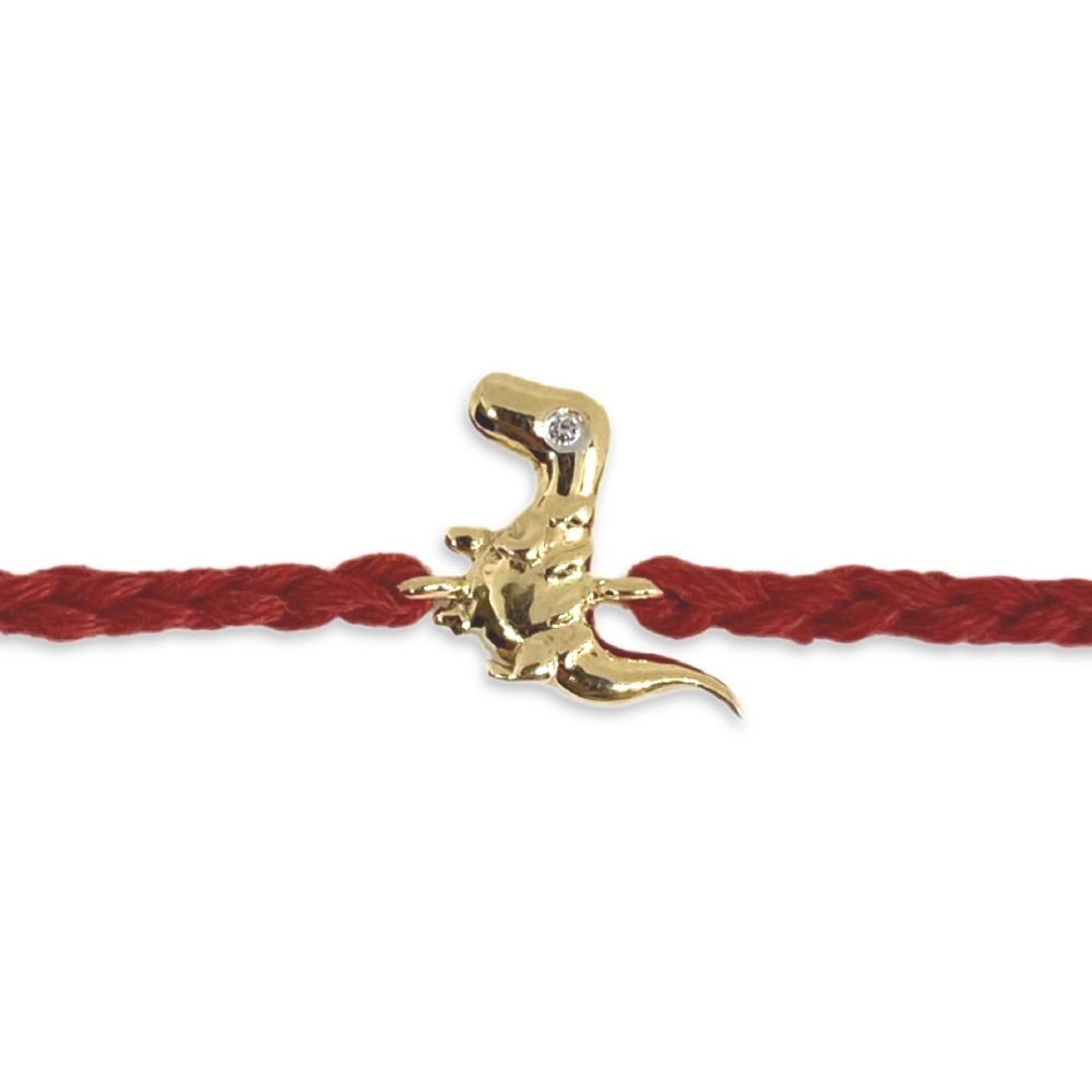 Dino Rakhi
