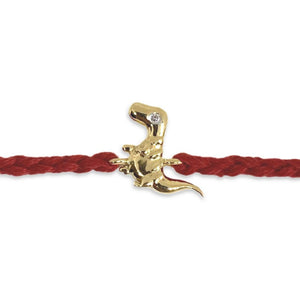 Dino Rakhi