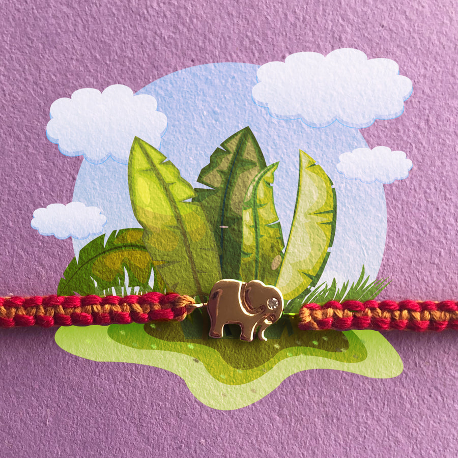 Jumbo Rakhi