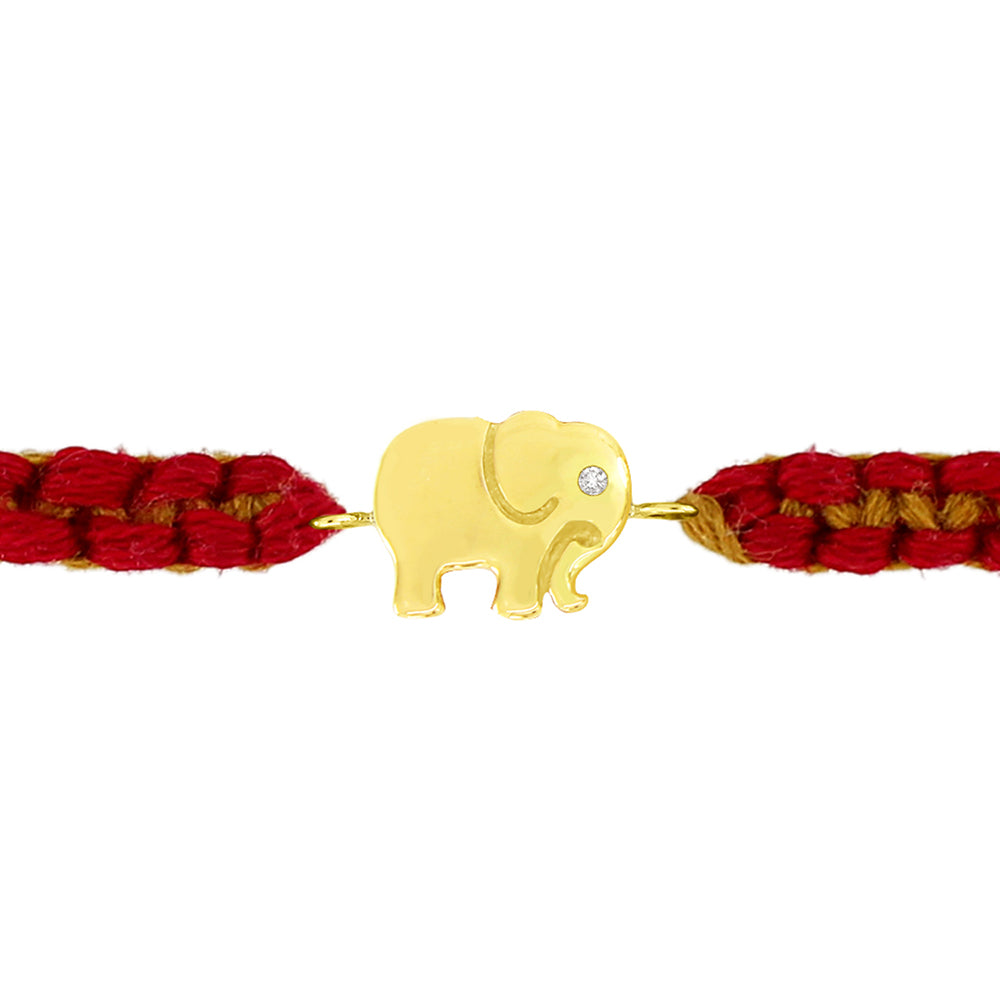 Jumbo Rakhi